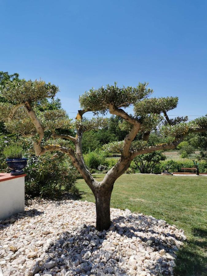 Le Gite Du Moulin Lagardelle-sur-Leze Экстерьер фото